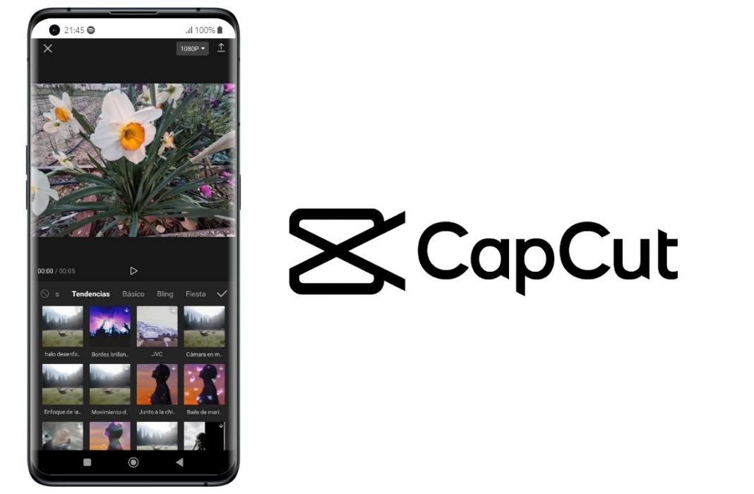 CapCut ile Video Düzenleme Ri Akademi